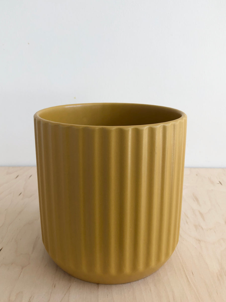 Beam Pot - Yellow 6” – Sienna Flora